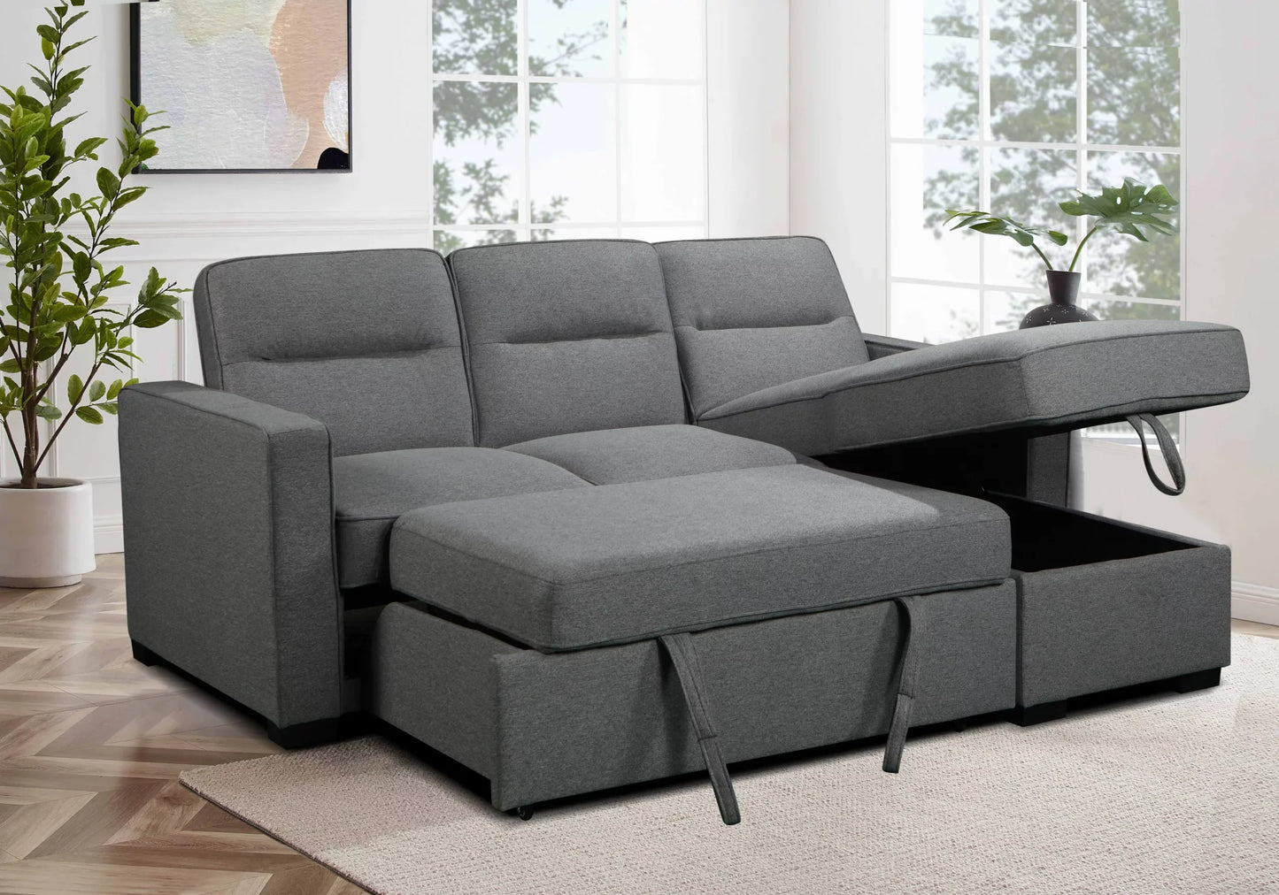 Coquitlam Sectional Sofa Bed with Storage