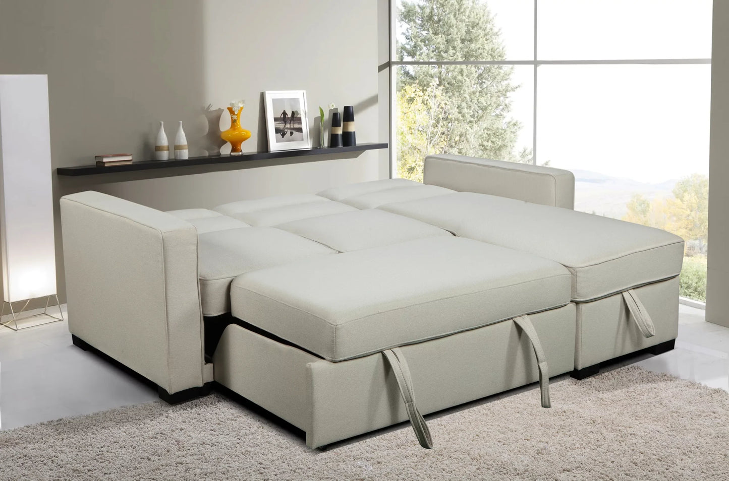 Coquitlam Sectional Sofa Bed with Storage