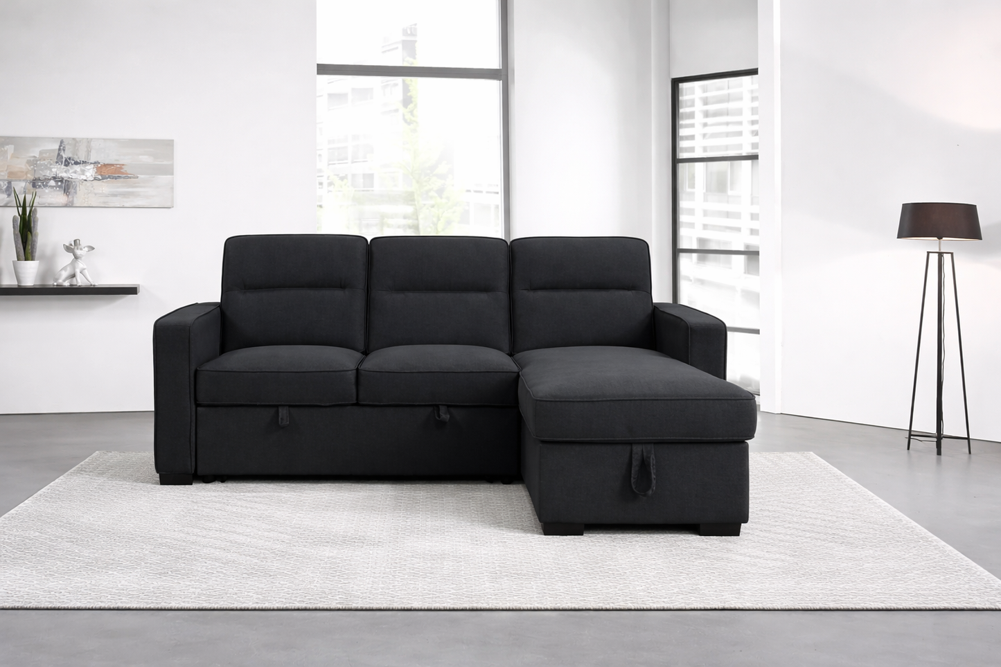 Coquitlam Sectional Sofa Bed with Storage