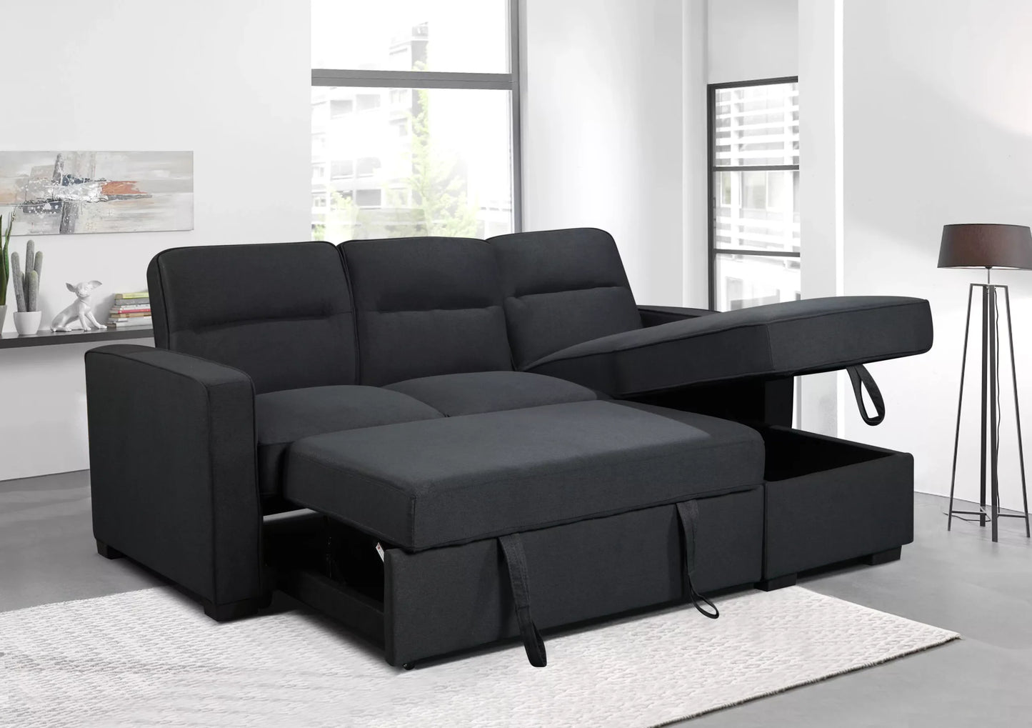 Coquitlam Sectional Sofa Bed with Storage