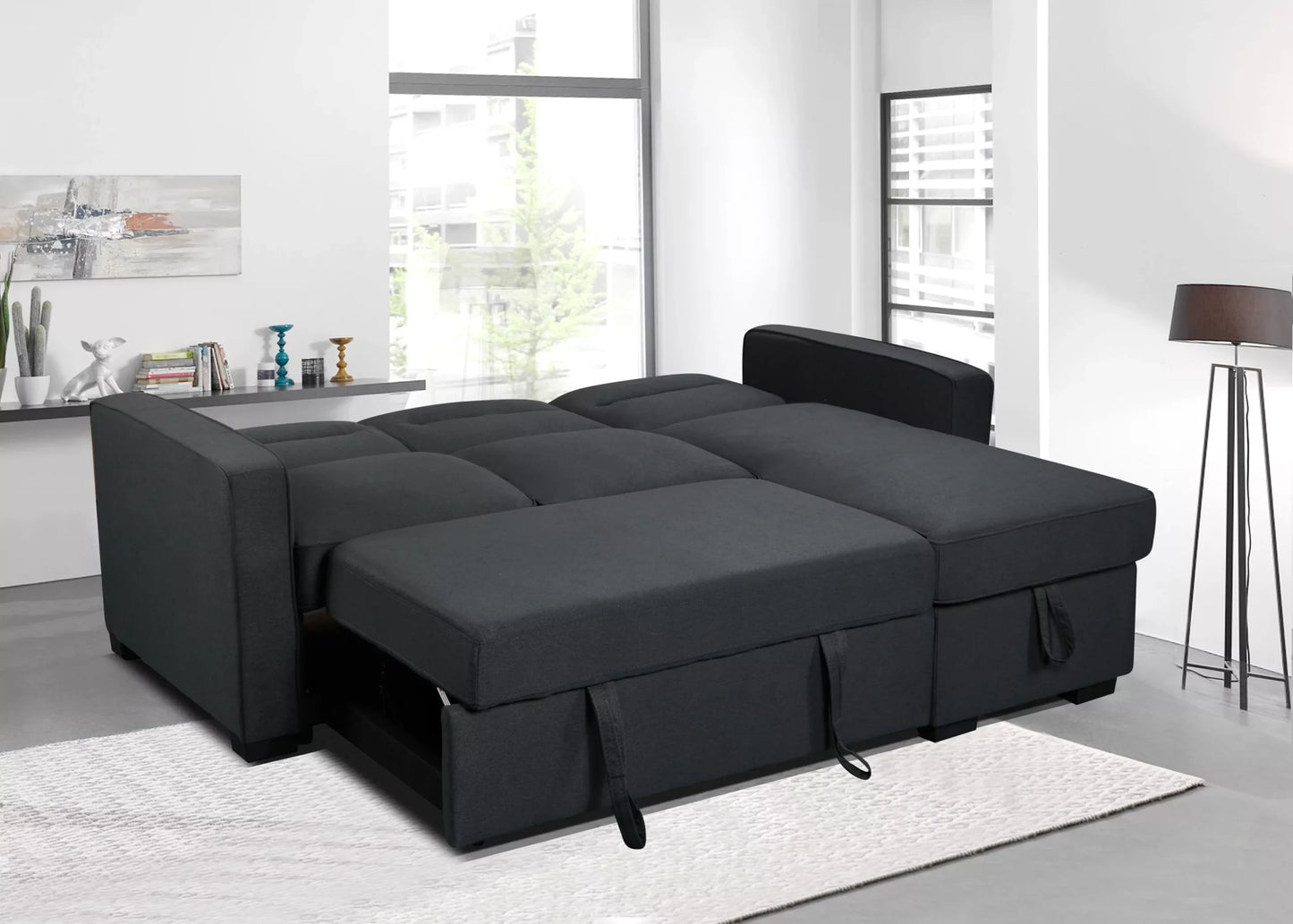 Coquitlam Sectional Sofa Bed with Storage