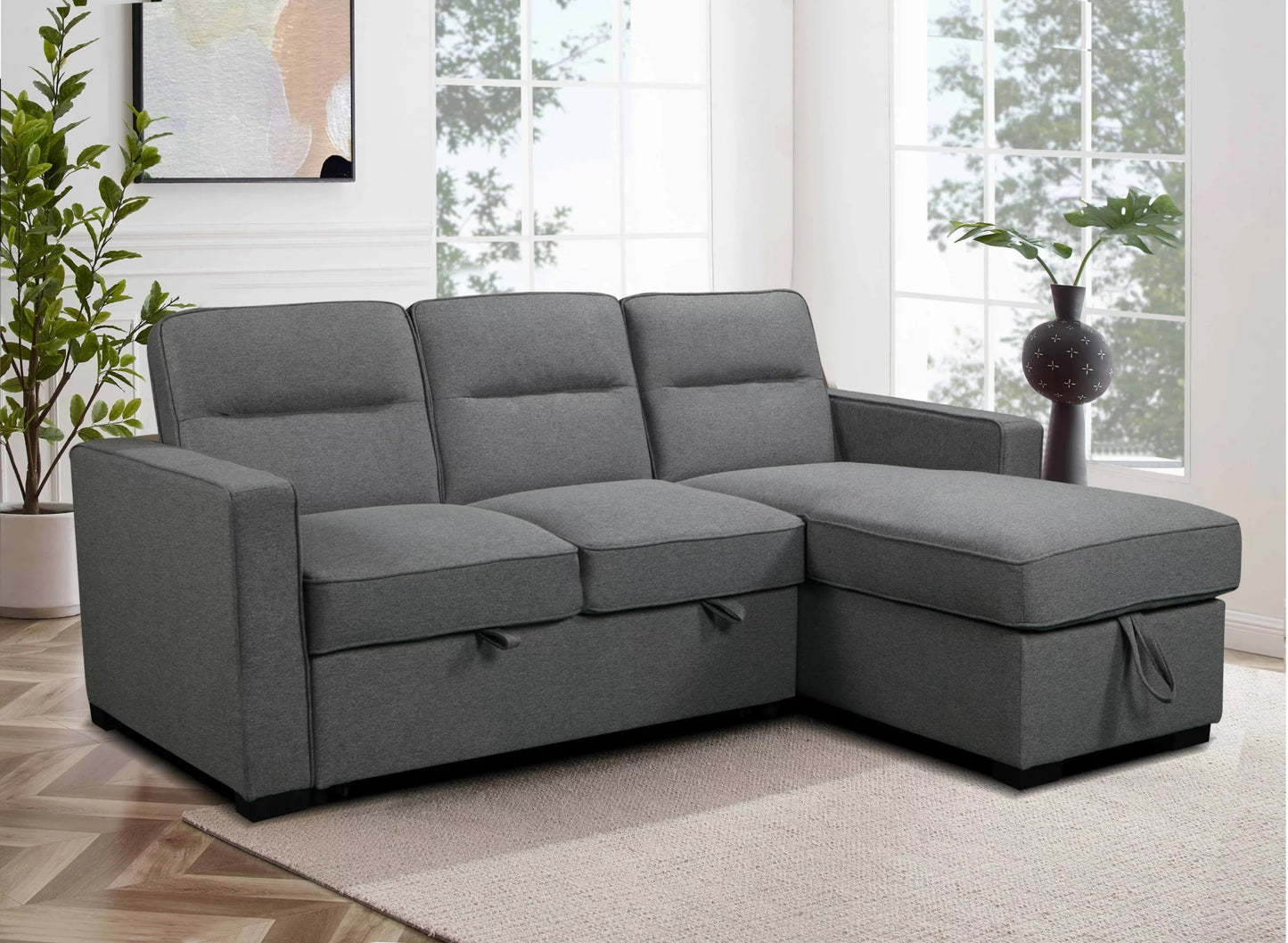 Coquitlam Sectional Sofa Bed with Storage