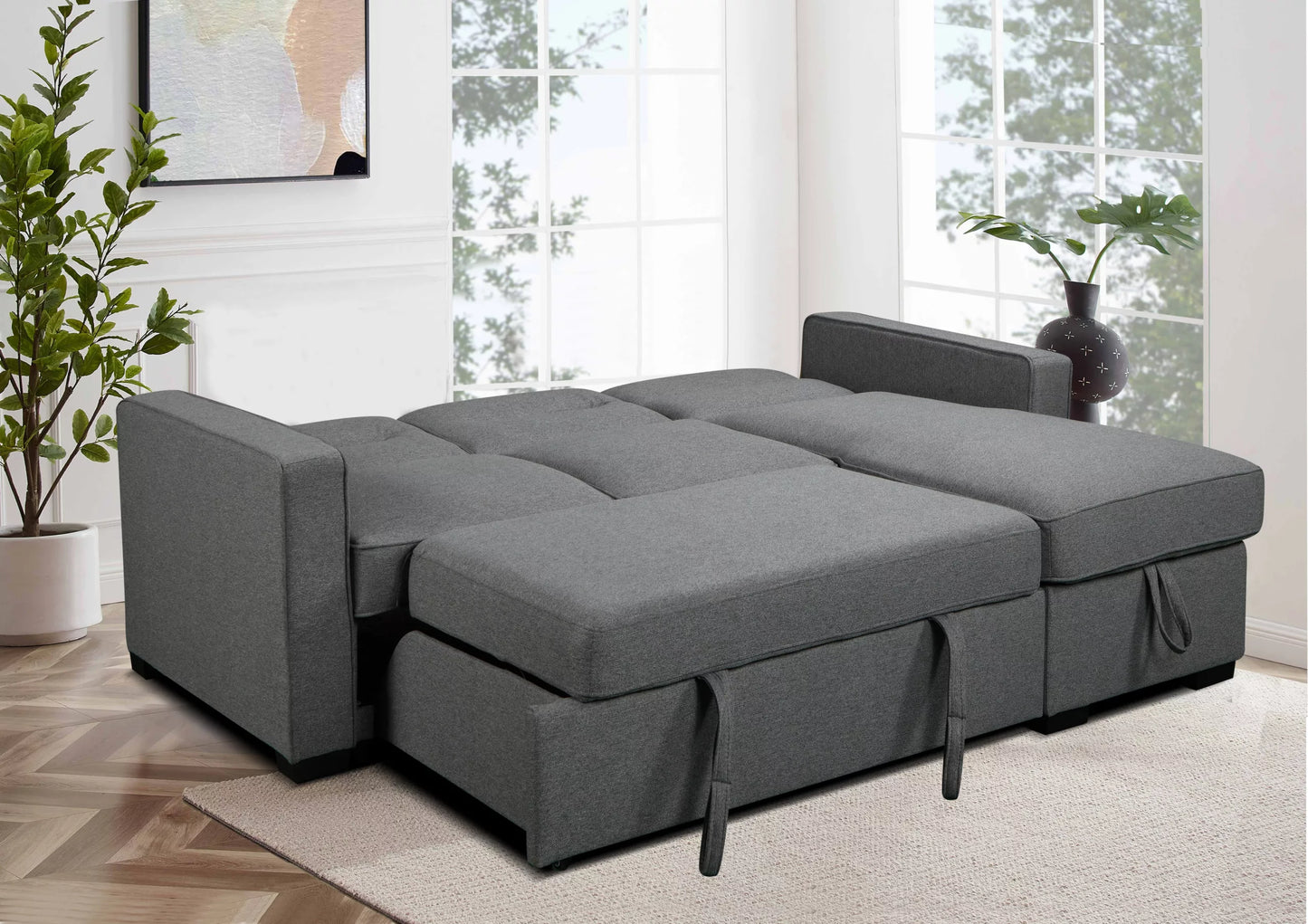 Coquitlam Sectional Sofa Bed with Storage