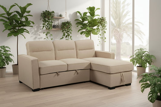 Coquitlam Sectional Sofa Bed with Storage
