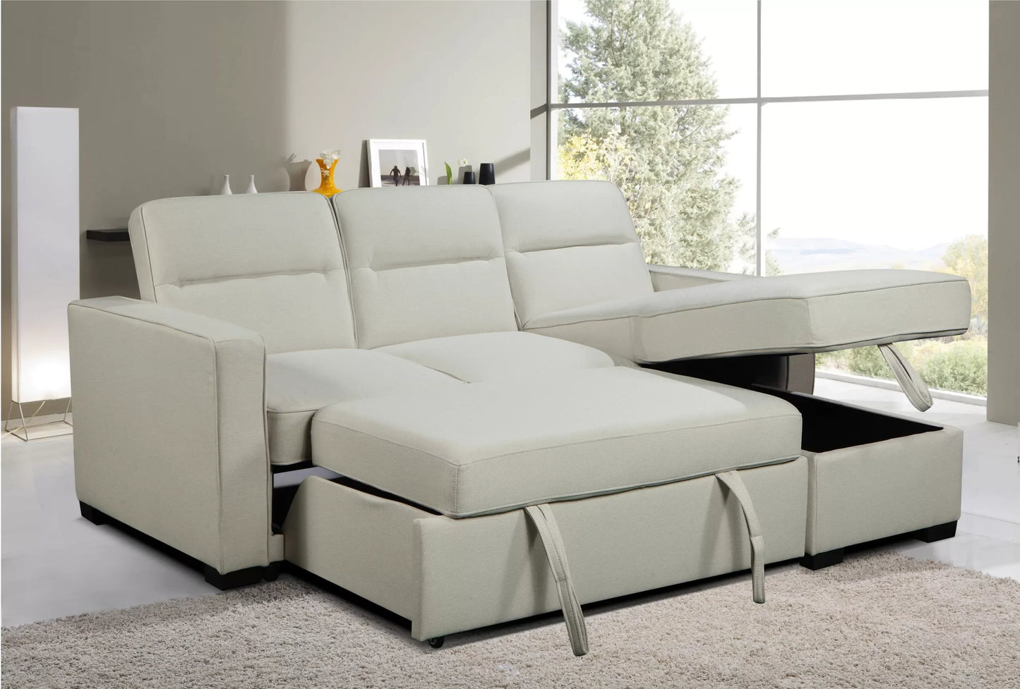 Coquitlam Sectional Sofa Bed with Storage
