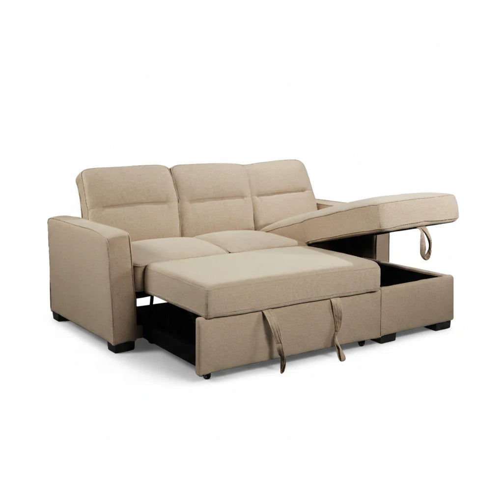 Coquitlam Sectional Sofa Bed with Storage